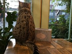 -小时光咖啡馆(北锣鼓巷店)