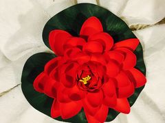 -北纬37°SPA养身会馆(湖西店)