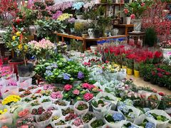 -双季花艺园艺市场(浦东店)