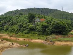 -东莞市大岭山森林公园