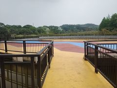 -东莞植物园