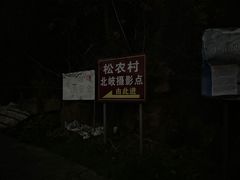 -北岐滩涂