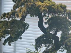 -苏淮景·苏闽融创菜·海鲜(原空港井河轩店)