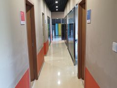 -爪吧宠物乐园·宠物泳池(温榆河示范区店)