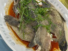 -明记海鲜大排档(巽寮湾店)