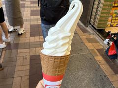 -富豪雪糕车流动点(尖沙咀店)