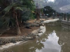 -泉州海丝野生动物世界