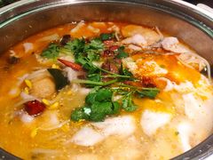 肥肠鱼-龙梅肥肠鱼(明瓦廊店)