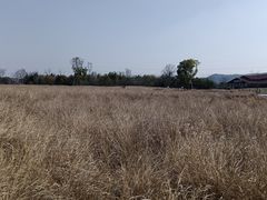 -良渚古城遗址公园