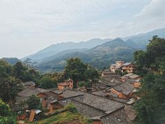 -杨家堂村