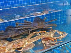 -前王院•巧克力海鲜市集餐厅(万平口店)