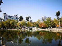 -莲湖公园
