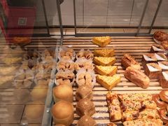 -蒲公英(五里店)