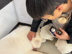 -共舞时光猫咖·狗咖(新街口店)