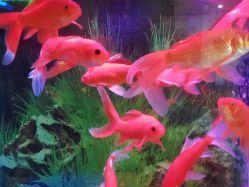 -颐健堂健康管理中心(宝龙店)