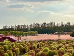 -嘉北郊野公园