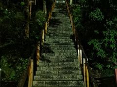 -云碧峰国家森林公园