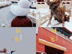 -故宫博物院(故宫)
