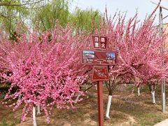 -永定河休闲森林公园