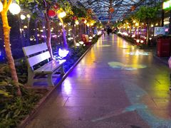 -南宫五洲植物乐园