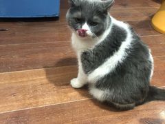 -铜锣湾国际购物中心