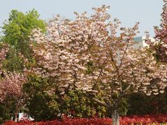 -南京航空航天大学(明故宫校区)