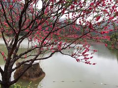 -南国桃园旅游度假区