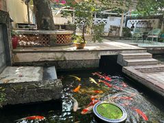 -馨园villa融合菜(东山店)