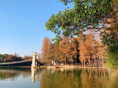 -东湖落雁景区