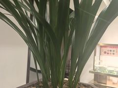 -皇城老妈火锅·川味传承(港湾店)