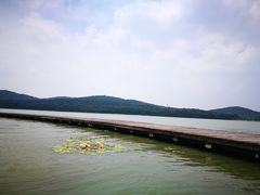 -水上明月·湖景餐厅