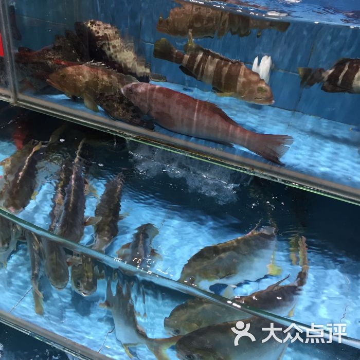 强记海鲜菜馆(蛇口店)-图片-深圳美食-大众点评网