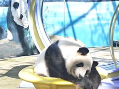 -鄂尔多斯野生动物园