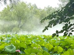 -陶辛水韵