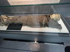 -巴音郭楞蒙古自治州博物馆