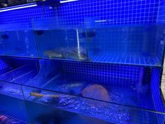 -芦茨金富饭庄·25年老字号·专做稻草鸡