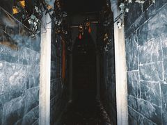 -屋有岛沉浸游戏旗舰店(中山公园店)