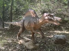 -桑干河大峡谷旅游区