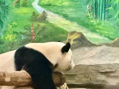 -灵玲国际马戏城