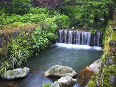 -江西阳明山国家森林公园
