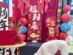 -全心全意动物诊疗中心医院(北苑店)