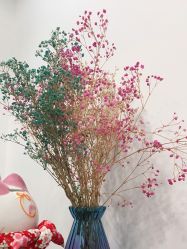 -凡碧诗毛孔收细