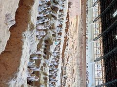 -秦始皇帝陵博物院(兵马俑)