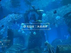 -哈尔滨波塞冬海底世界