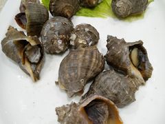 -郑庄脂渣海鲜楼(九水路店)