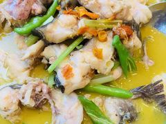 黄焖鲟龙鱼-饭怕鱼(阳光100店)