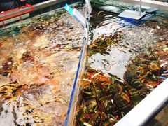 -盒马鲜生(大成店)