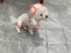 -宠福鑫康馨动物医院·骨科·眼科