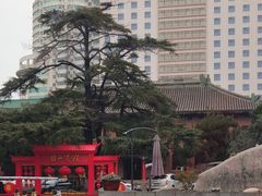-南京钟山宾馆(江苏省会议中心)