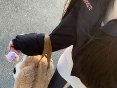 -北京SKP